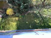 Blick auf den Garten - 