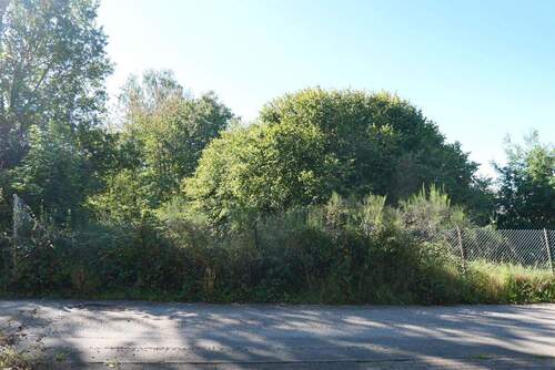 4.jpg - Grundstück in Trippstadt zum Kaufen