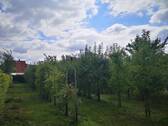 Obstgarten 1.1.jpg - 