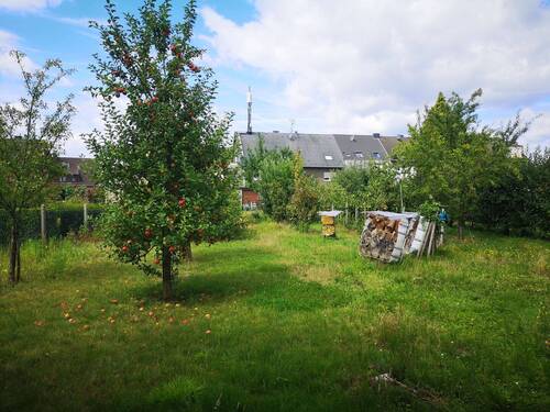 Obstgarten 1.2.jpg - 