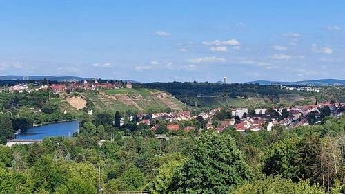 20250717_172751.jpg - Gartengrundstück in Stuttgart-Münster in bester Lage