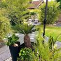 Garten grün.JPG - 
