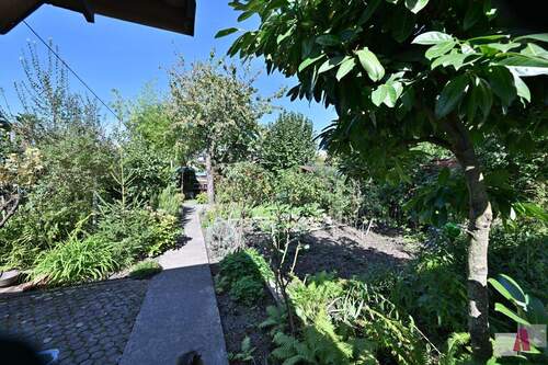 Gartenimpressionen - 