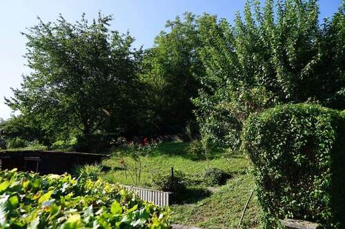 Blick vom Haus auf das Gartengrundstück - 