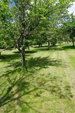 ... soweit das Auge reicht - 