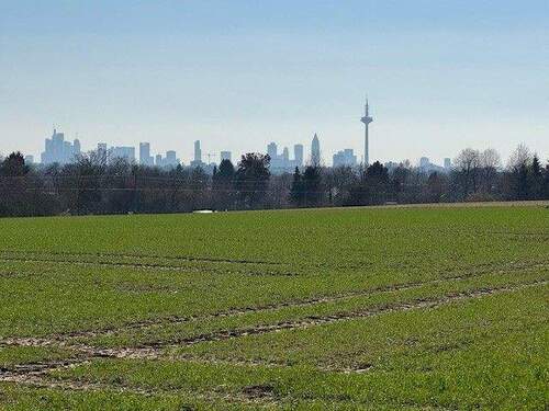 Skyline-Blick - 