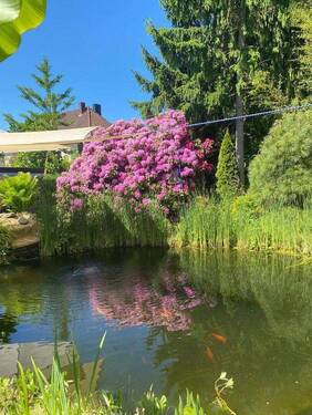 Stadthaus Teich - 