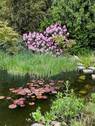 Stadhaus Garten & Teich - 