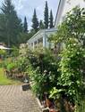 Wintergarten I. Stadthaus - 8 Zimmer Mehrfamilienhaus, Wohnhaus in Celle
