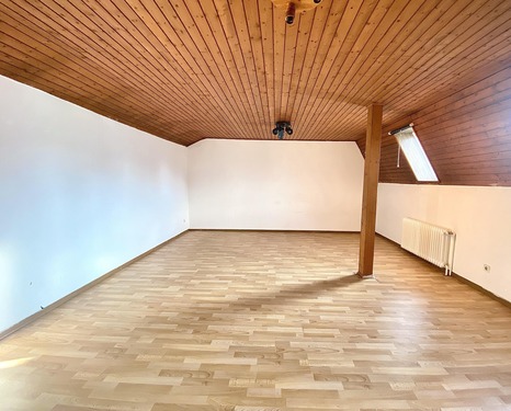 Zimmer DG - 