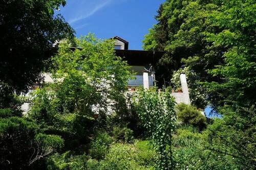 Blick zum Haus - 