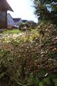 Naturgarten - 