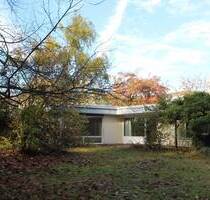 Ebenerdiges Wohnen! Bungalow in guter Lage - Darmstadt Kranichstein