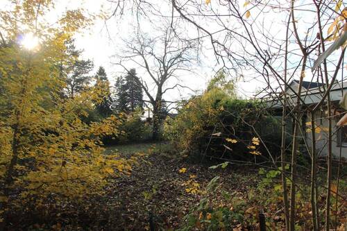 Garten Ansicht I - 6 Zimmer Bungalow zum Kaufen in Darmstadt
