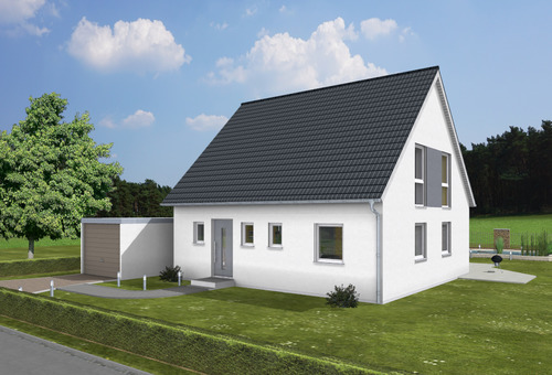 Eingang_3D.png - 5 Zimmer Einfamilienhaus in Berg bei Neumarkt in der Oberpfalz