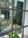 Blick zum Garten (aus dem Haus) - 