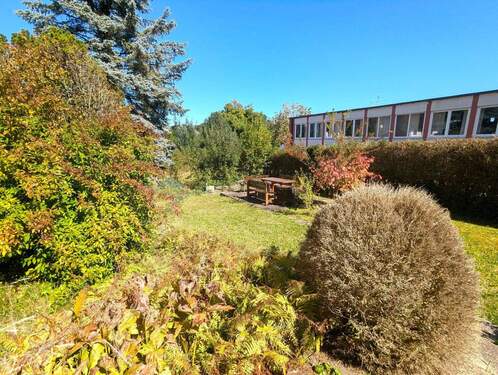 Blick in den Garten - 