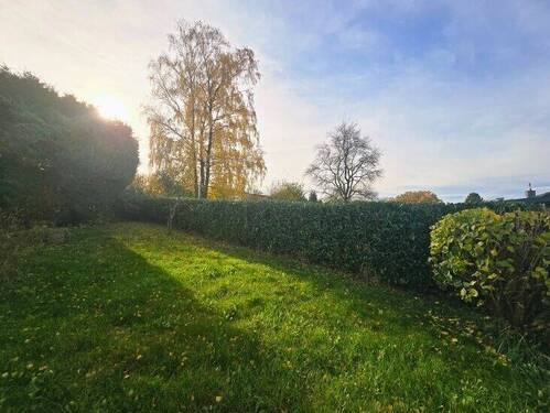 Blick in den Garten. - 