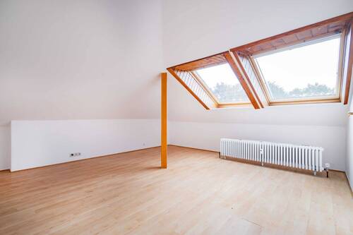 ...mit 2 Dachflächenfenster - 