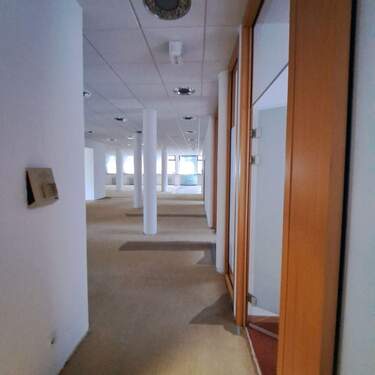 Blick in den Verkaufsbereich - 