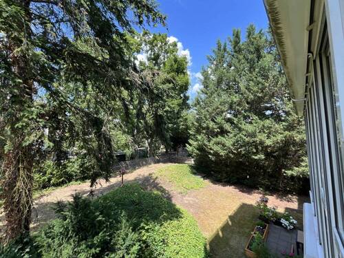 Blick in den Garten - 