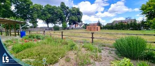 Blick auf die Koppel - 