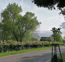 Doppelhauspartner gesucht! + Noch 1 Erbbaurecht + Grüne Lage am Stadtrand - Ahrensfelde Lindenberg