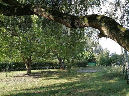 Gartenansicht - 4 Zimmer Doppelhaushälfte in Ahrensfelde