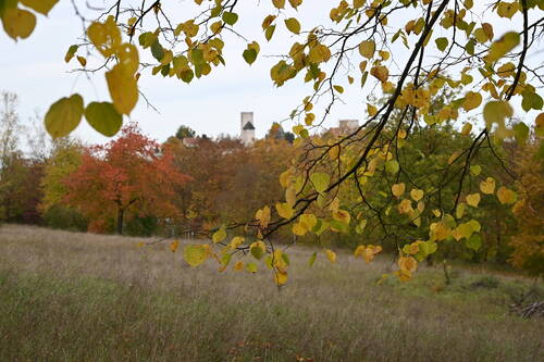 Wunderschöne Mietwohnungen in Burglengenfeld - 