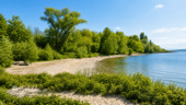 Rheinstrand - 