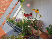 Bild 10 - 