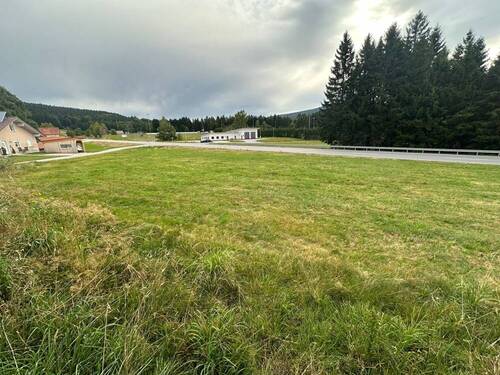 Ansicht (1) - Baugrundstück Gemeinde Neureichenau Nähe Altreichenau