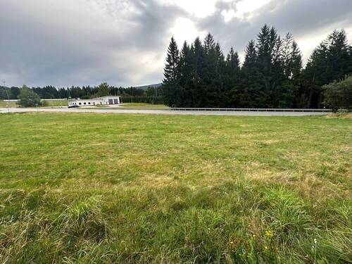 Ansicht (2) - Grundstück zum Kaufen in Altreichenau