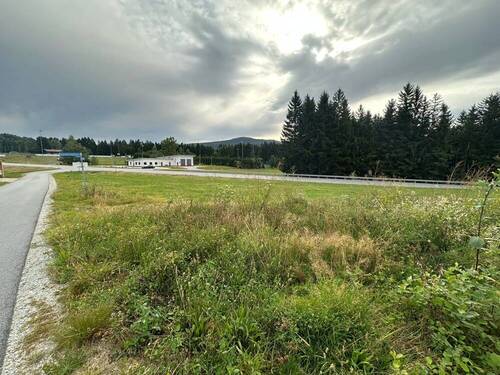 Ansicht (3) - Grundstück in Altreichenau