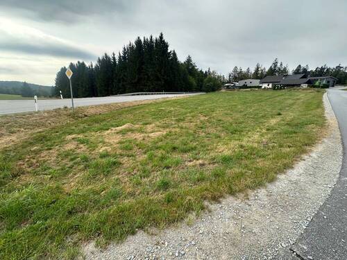 Ansicht (4) - Grundstück in Altreichenau zum Kaufen