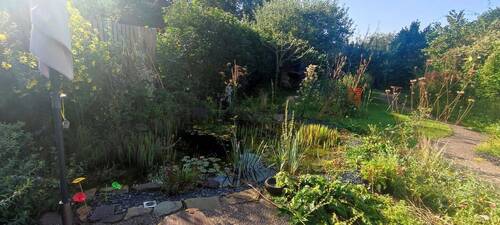 Garten mit Teich - Doppelhaushälfte mit 132,00 m&sup2; in Köln zum Kaufen