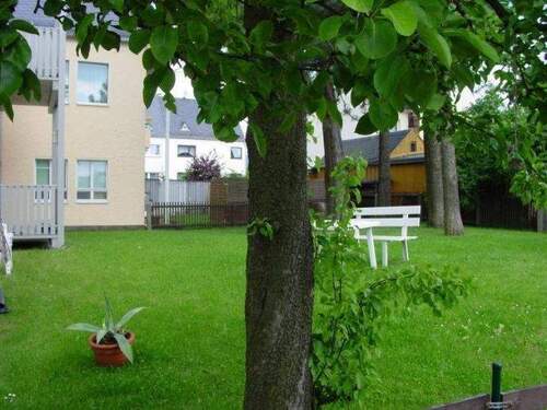 Garten - 3 Zimmer Etagenwohnung zur Miete in Limbach-Oberfrohna