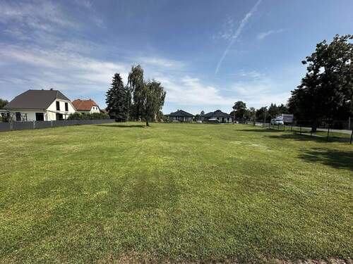 Blick Ri. Osten - Grundstück in Amalienfelde
