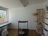 Zimmer - 