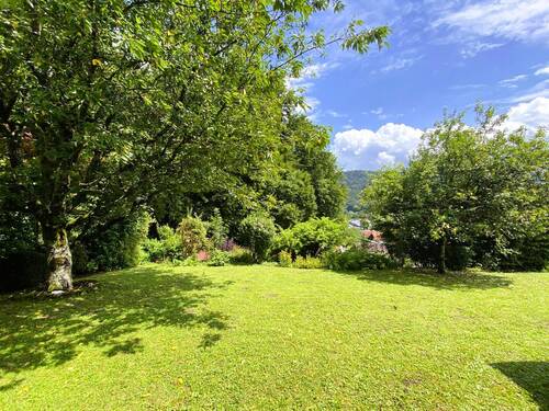 Blick in den Garten - 