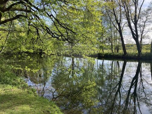 Wochenendgrundstück in Neuhausen/Spree - Umgebung - 