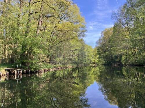 Wochenendgrundstück in Neuhausen/Spree - Umgebung - 