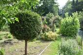 DSC_0315.JPG - 