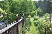 DSC_0314.JPG - 