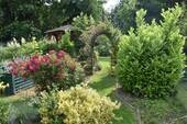 DSC_0316.JPG - 