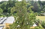 Ausicht - 