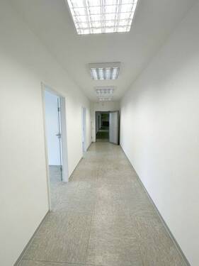 Flur - 1 Zimmer Büro in Trier
