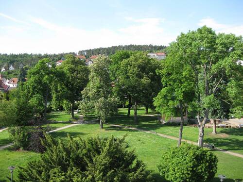 Aussicht! - 4 Zimmer Etagenwohnung zum Kaufen in Bad Frankenhausen/Kyffhäuser