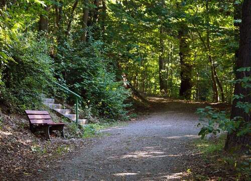 Erholung in grüner Umgebung - 