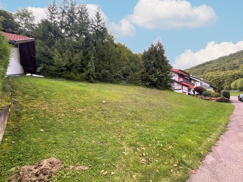 Bild 2 - Grundstück zum Kaufen in Burladingen